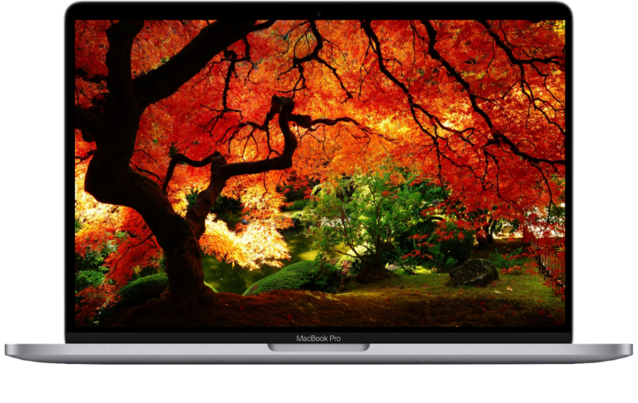  Apple MacBook Pro A2251 16.2 -  1