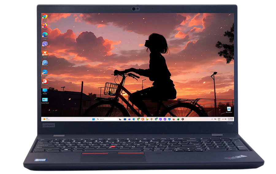 ������ Lenovo ThinkPad T590 - ������ 1