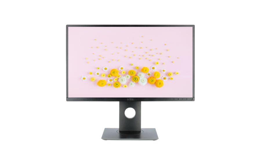 LCD ������� Dell P2417H - ������ 1