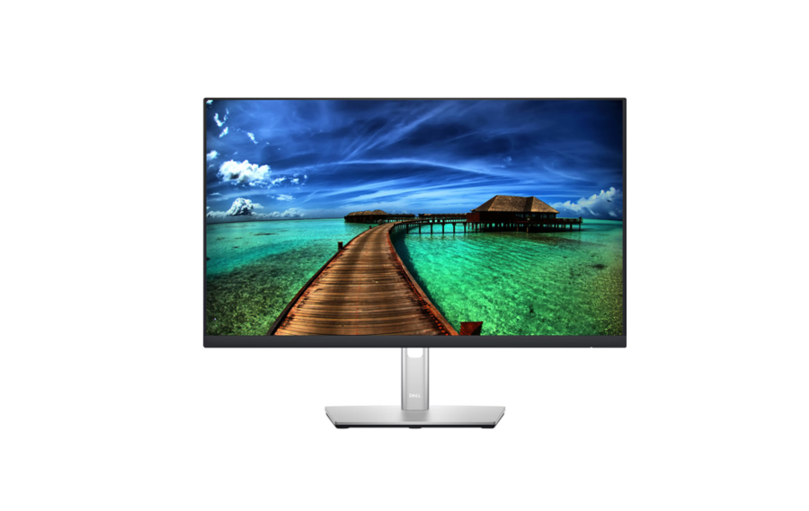LCD ������� Dell P2422H - ������ 1