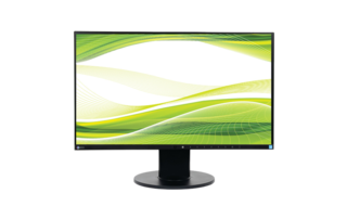 LCD Монитор EIZO FlexScan EV2450 Black