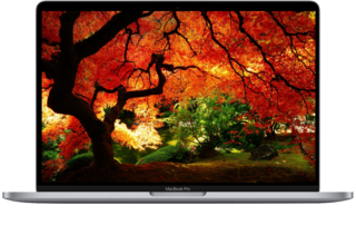  Apple MacBook Pro A2251 16.2