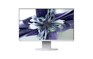 LCD ������� EIZO EV2450