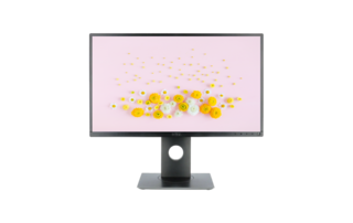 LCD ������� Dell P2417H