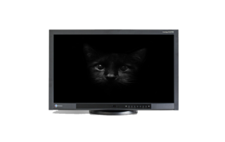 LCD ������� EIZO CG275W