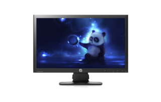 LCD ������� HP ProDisplay P221