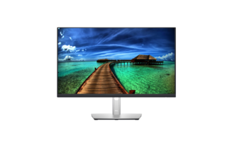 LCD ������� Dell P2422H